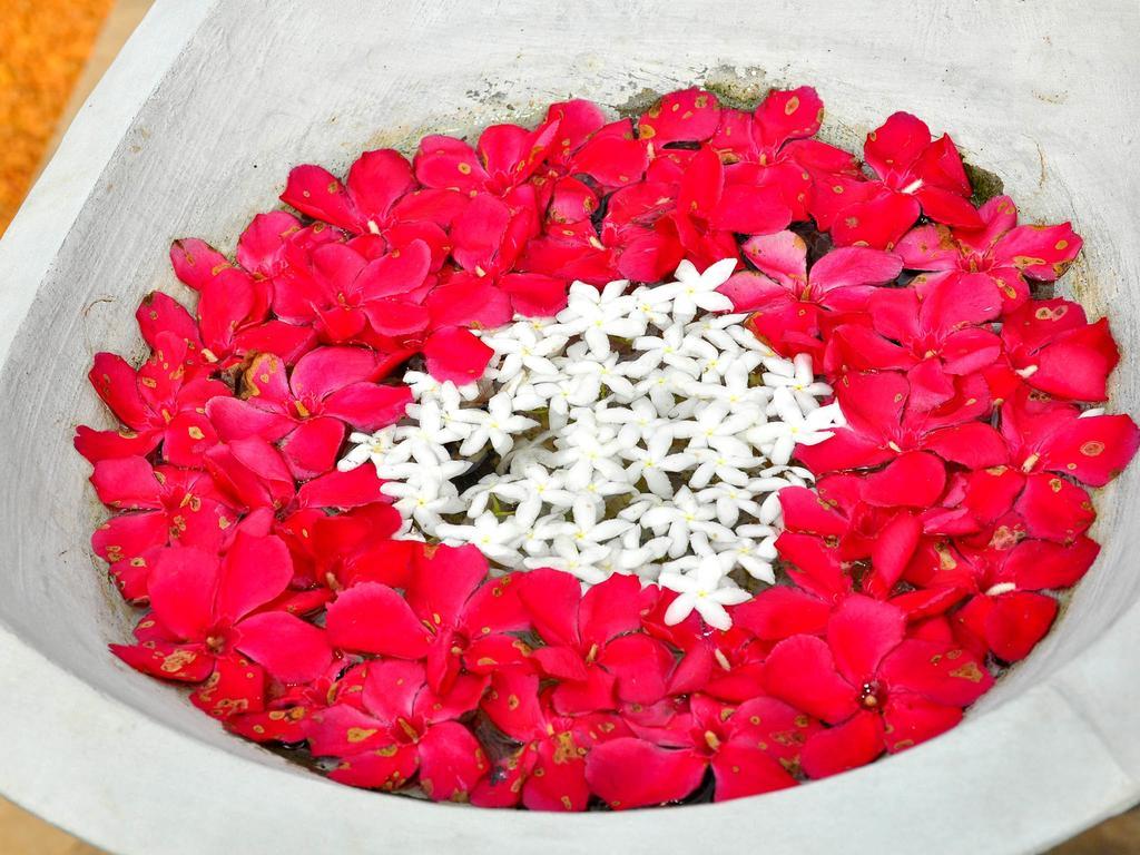 Rockery Villa Ayurveda Bentota Buitenkant foto