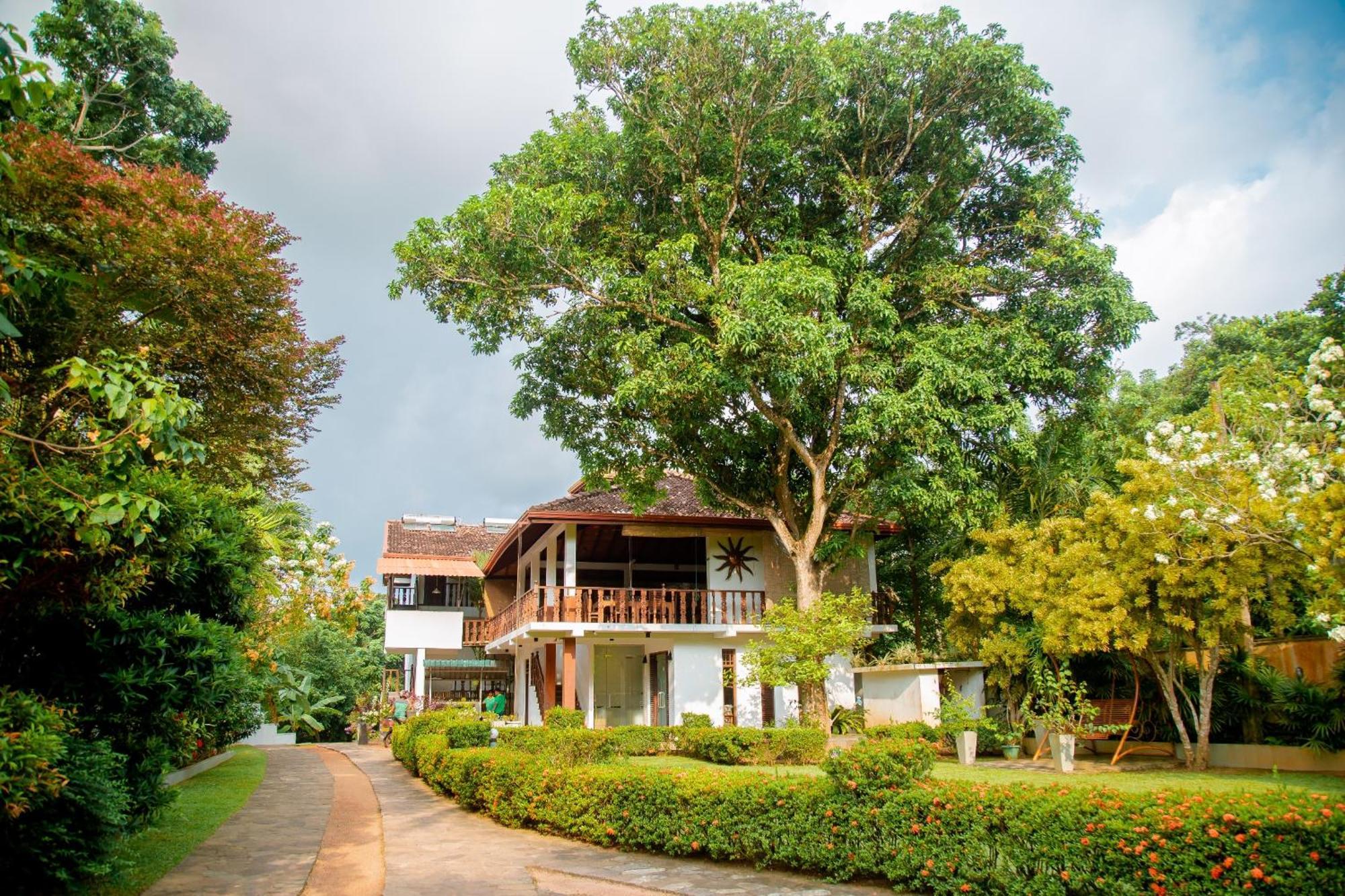 Rockery Villa Ayurveda Bentota Buitenkant foto