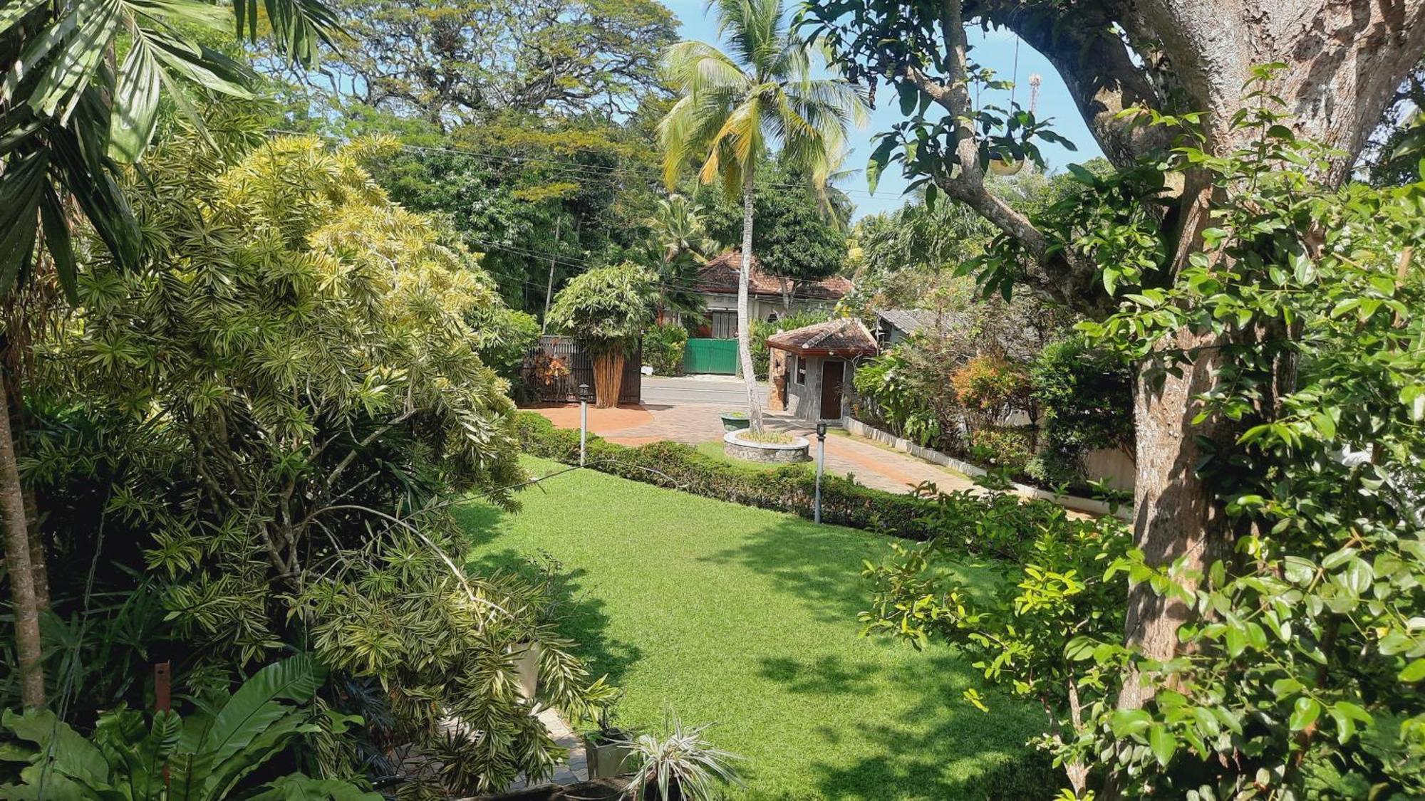 Rockery Villa Ayurveda Bentota Buitenkant foto