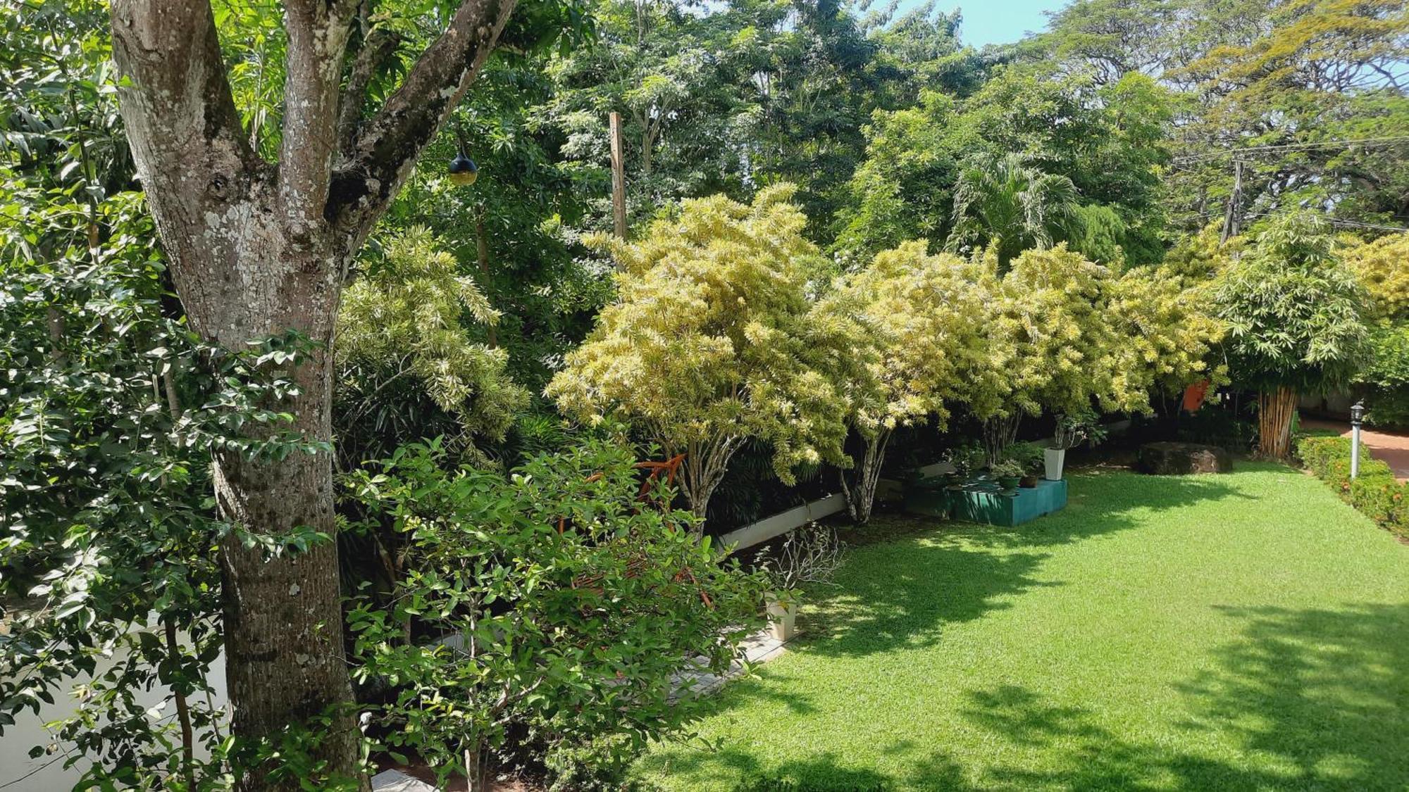Rockery Villa Ayurveda Bentota Buitenkant foto